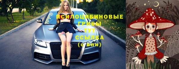 ПСИЛОЦИБИНОВЫЕ ГРИБЫ Балабаново